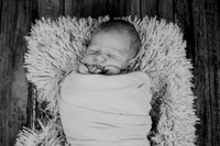 Noah Newborn 010