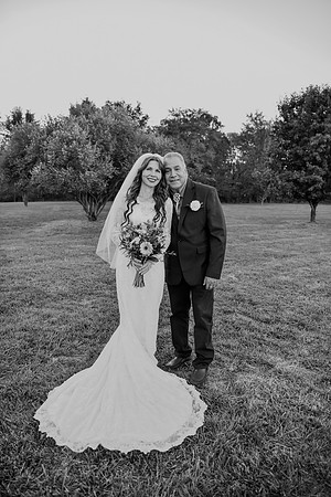 Bruce & Lori Wedding Photos 028