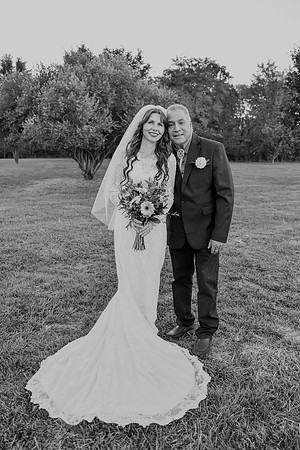 Bruce & Lori Wedding Photos 031