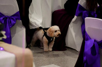 Bruce & Lori Wedding Photos 535