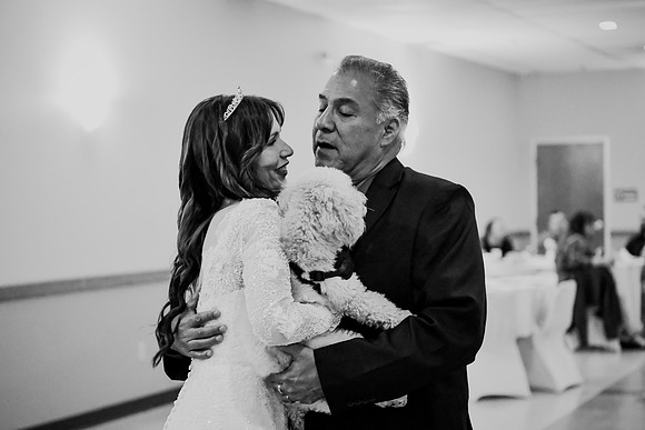 Bruce & Lori Wedding Photos 628