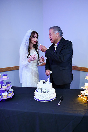 Bruce & Lori Wedding Photos 679