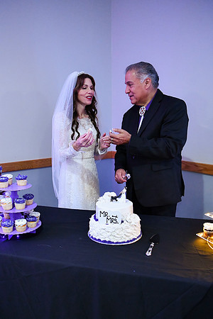 Bruce & Lori Wedding Photos 686