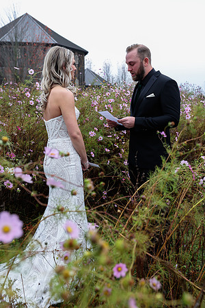 Jess & Steve Wedding [Proofs] 396