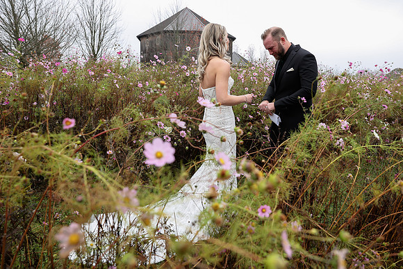 Jess & Steve Wedding [Proofs] 414