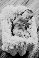 Anthony [newborn] 002