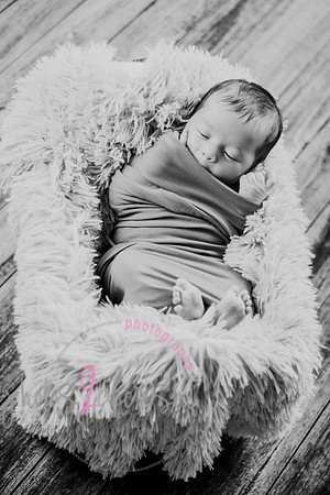 Anthony [newborn] 002