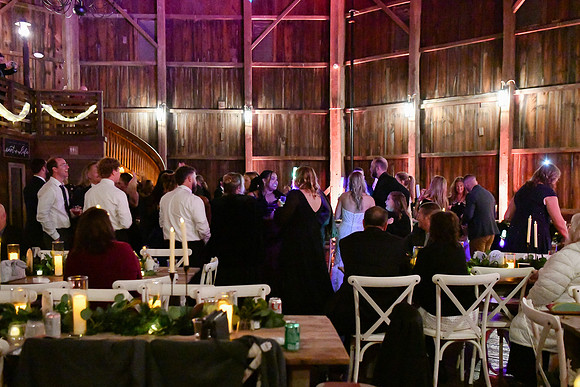 Jess & Steve Wedding [Proofs] Reception 175