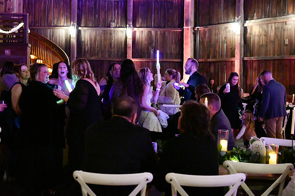 Jess & Steve Wedding [Proofs] Reception 180