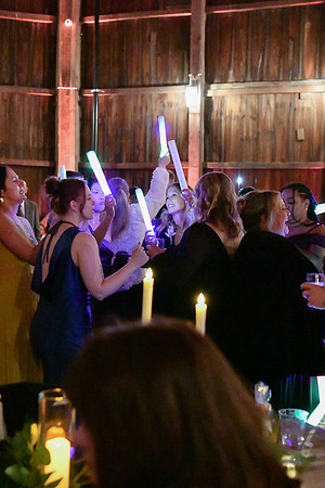 Jess & Steve Wedding [Proofs] Reception 191