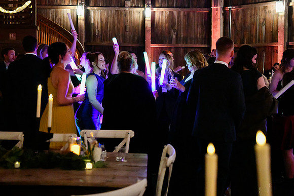 Jess & Steve Wedding [Proofs] Reception 196