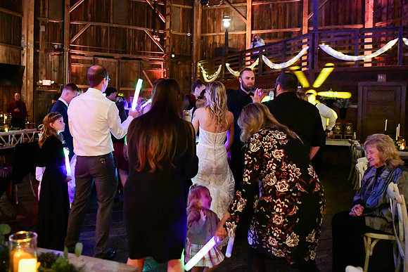 Jess & Steve Wedding [Proofs] Reception 203