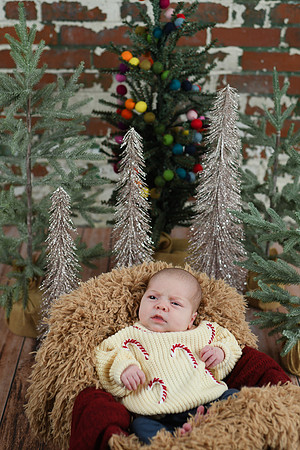 Libby Newborn 027