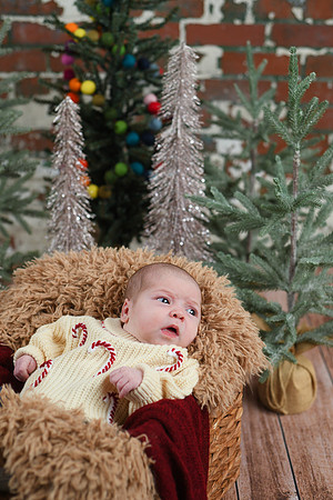 Libby Newborn 029