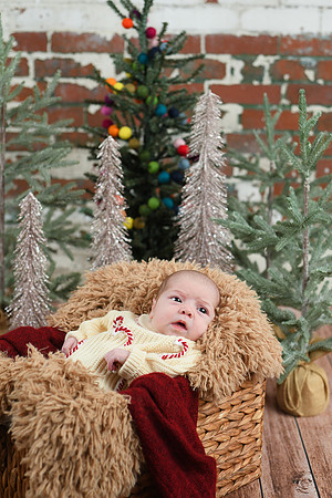 Libby Newborn 032