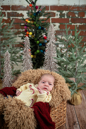 Libby Newborn 034