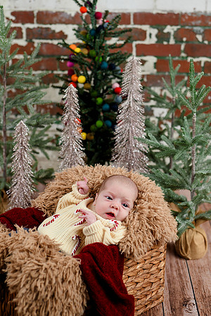 Libby Newborn 035