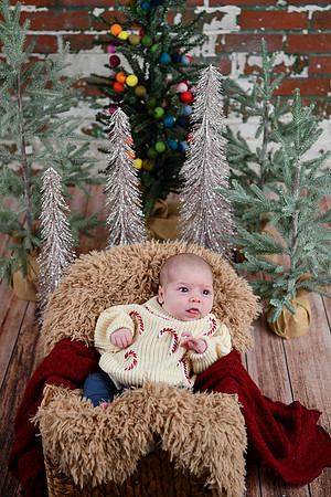 Libby Newborn 039