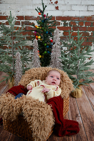 Libby Newborn 042