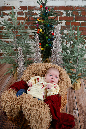 Libby Newborn 044