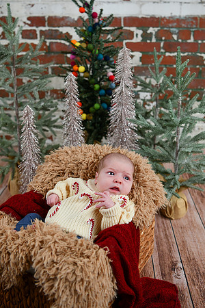 Libby Newborn 046