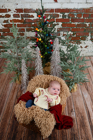 Libby Newborn 048