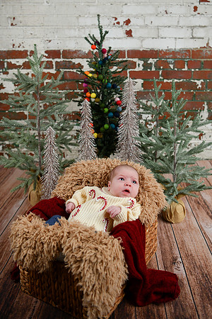Libby Newborn 055