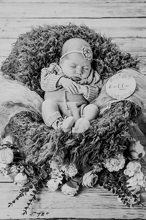 Libby Newborn 080