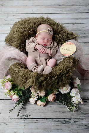 Libby Newborn 079