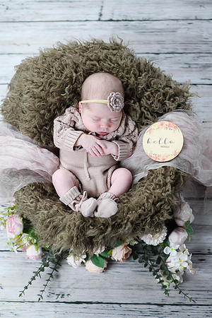 Libby Newborn 082