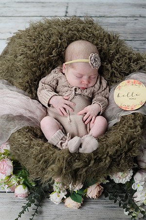 Libby Newborn 093