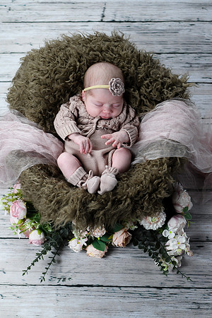 Libby Newborn 098