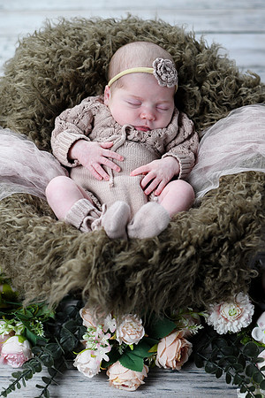 Libby Newborn 097