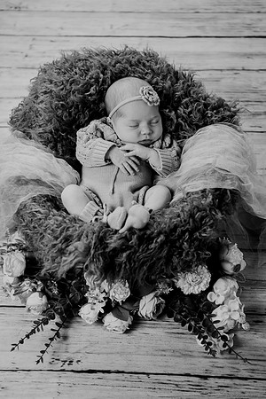 Libby Newborn 104