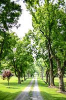 Carter & Marlah Wedding Photos [grounds] 019