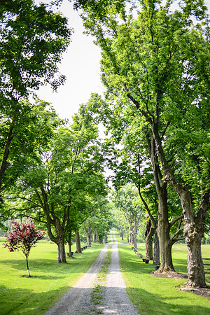 Carter & Marlah Wedding Photos [grounds] 019