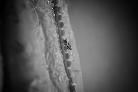 Wedding Day [Rose and Adam] 0010