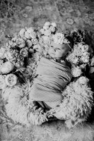 Amelia [newborn] images 019