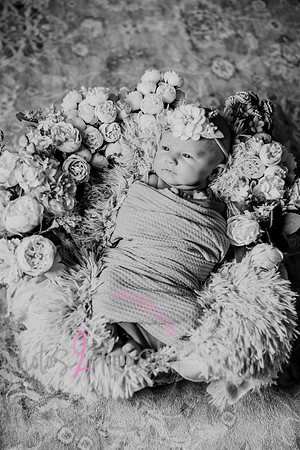 Amelia [newborn] images 019