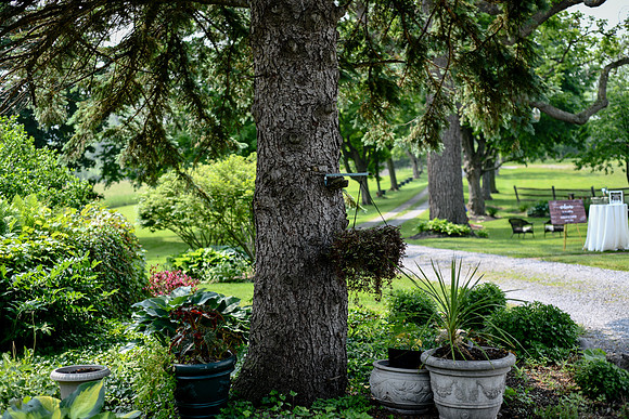 Carter & Marlah Wedding Photos [grounds] 109