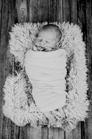 Noah Newborn 013