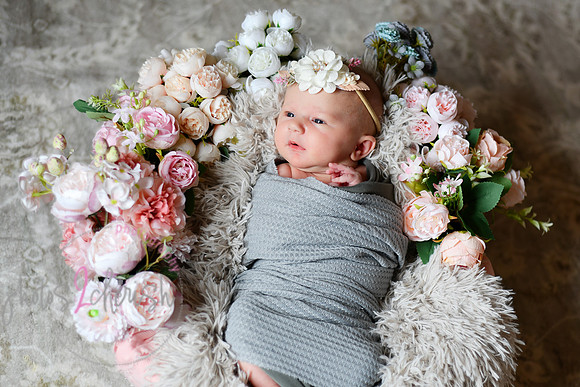 Amelia [newborn] images 031