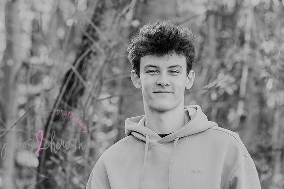 2026 Trey Senior Proofs 150