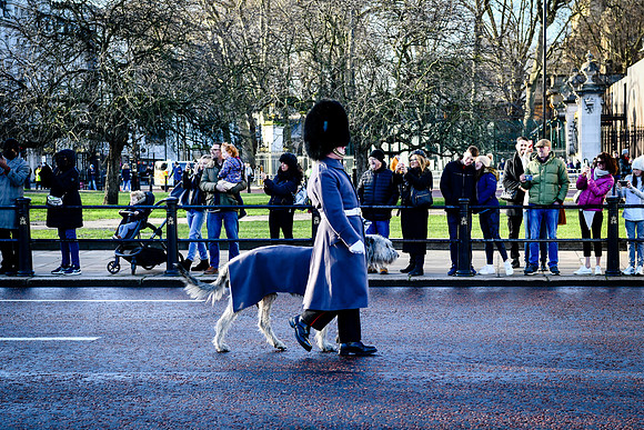 london 201