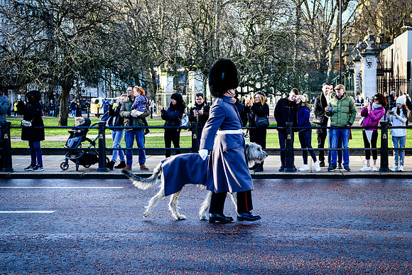 london 202