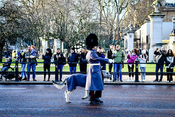 london 203