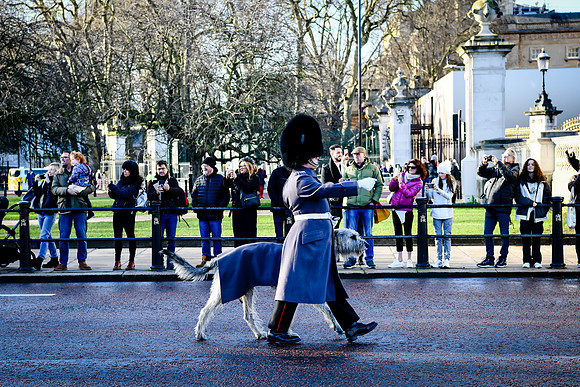 london 204