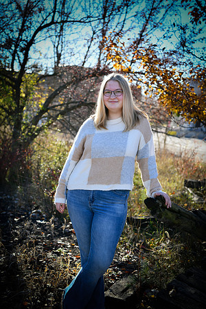 lilli [proofs] 312