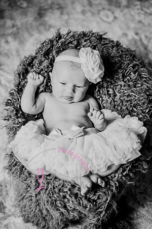 Amelia [newborn] images 055