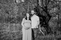 Liz Maternity Session 005